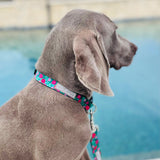 pink floral collar on green background