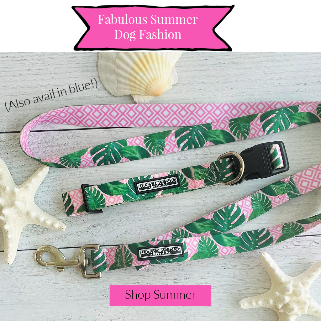 Pink and green Laguna collar