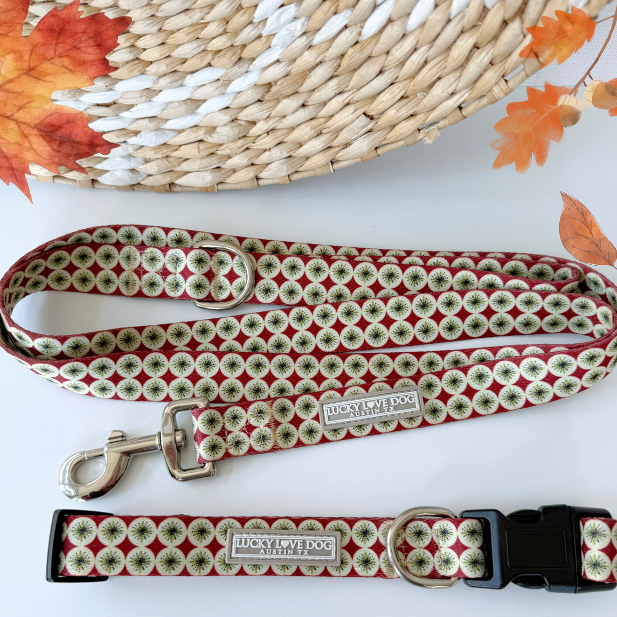 Dog collar and leash with green holiday pattern displayed on a table with fall decor.