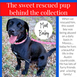 article about rescue pup named bailey