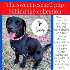 article about rescue pup named bailey