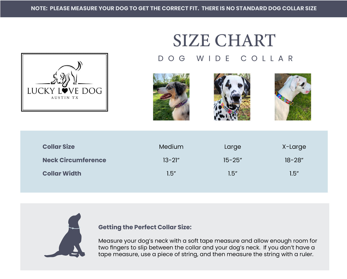 WIDE Oscar Collar