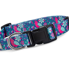 Carriebelle Dog Collar
