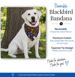 dog bandana details