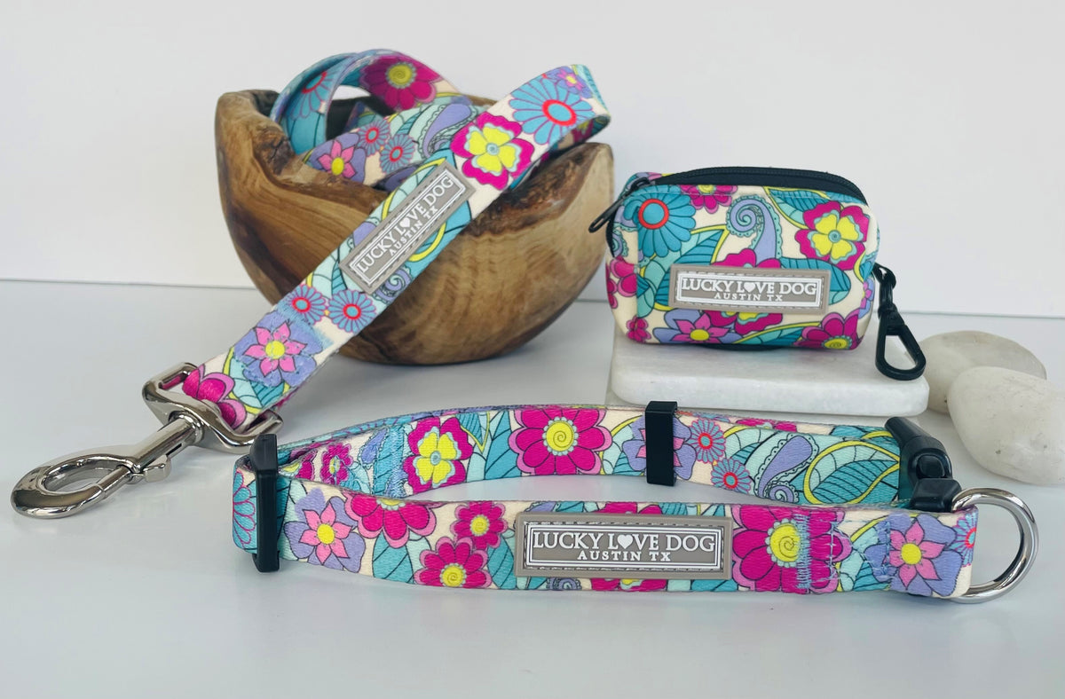 Colorful floral dog collar, leash, and waste bag holder