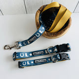 western dog collar and leash
