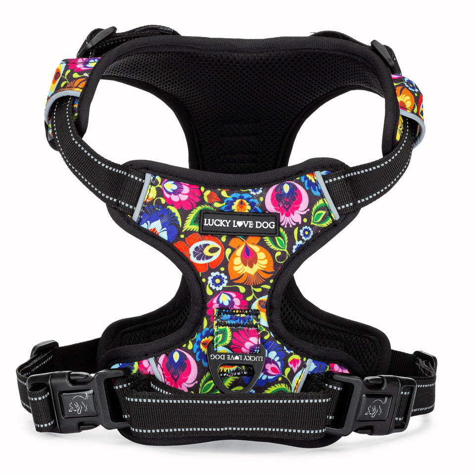 A vibrant, multicolored floral pattern padded dog harness.