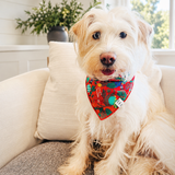 fritz holiday bandana on dog 
