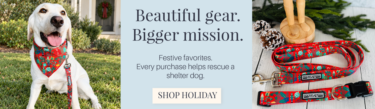 red holiday bandana and collar leash set nutcrackers