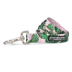Pink and green tropical leaf patterned dog leash with a silver clasp and Lucky Love Dog
