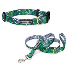 tropical blue green male dog collar and leash display