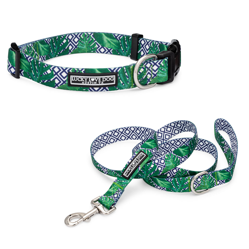 tropical blue green male dog collar and leash display