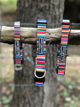 rainbow striped dog collars 