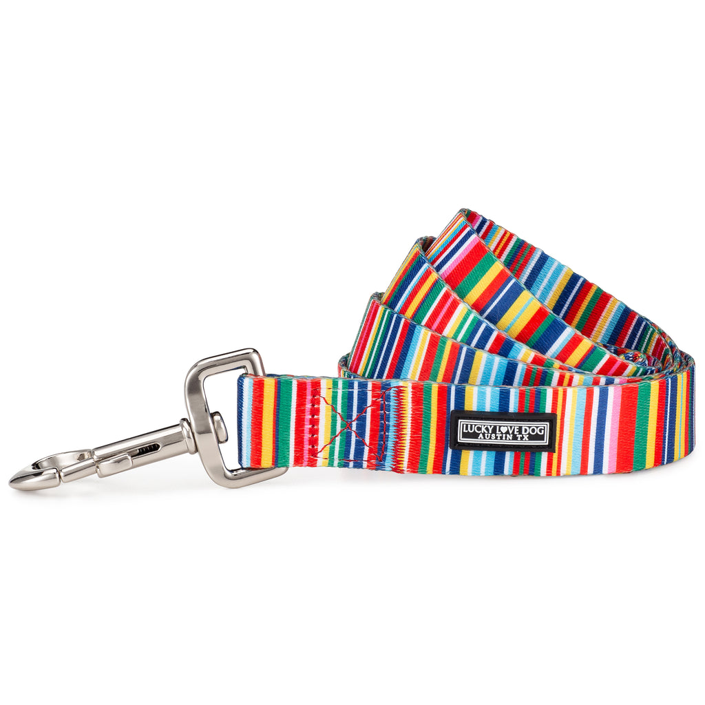 rainbow striped dog leash display