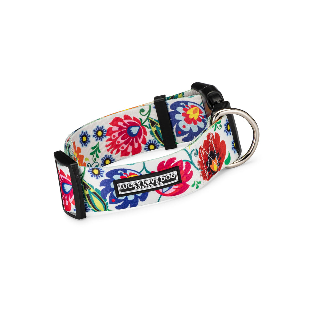 floral female wide dog collar front
