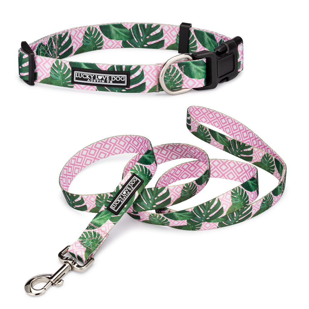 tropical pink female dog collar and leash display