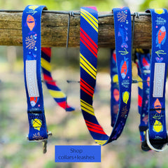 blue tropical fish beach dog collar and leash 