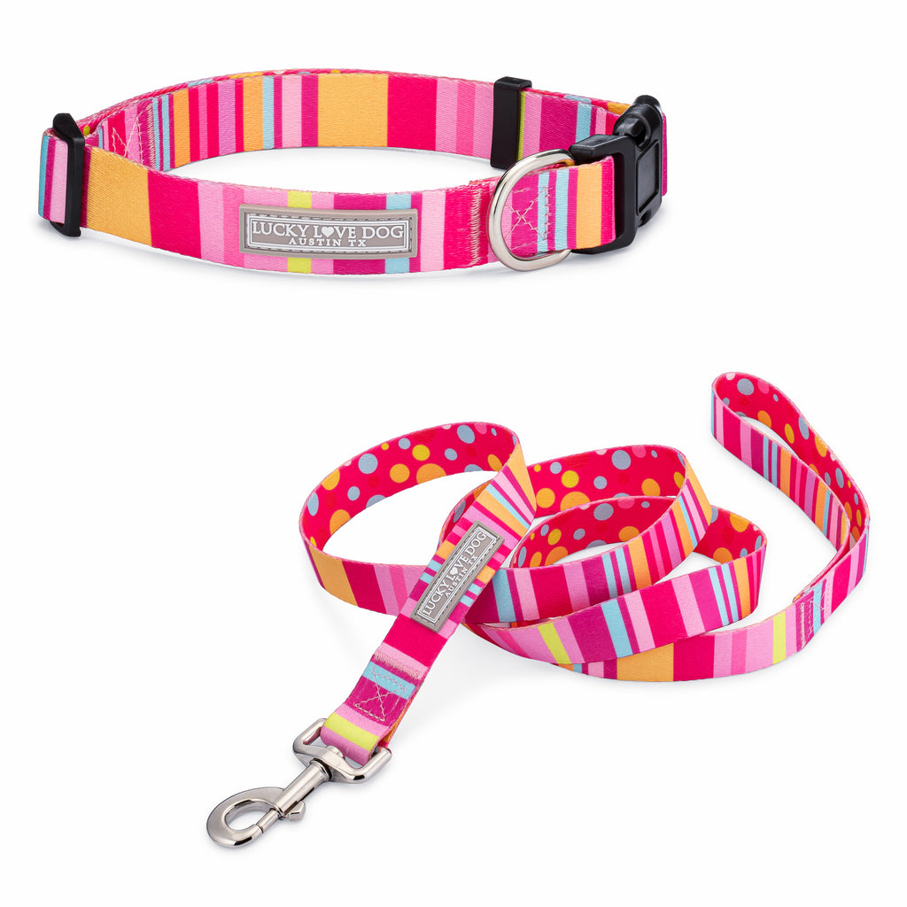 pink striped female dog collar and leash 