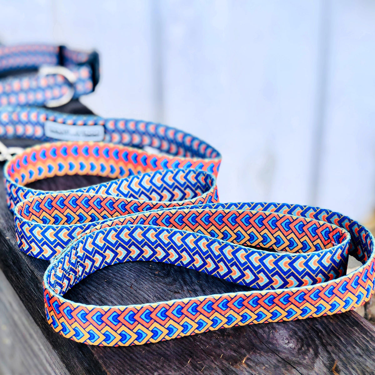 geometric dog collar and dog leash