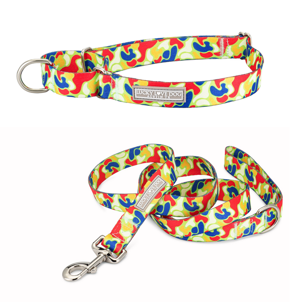 blue red yellow camo martingale collar and leash