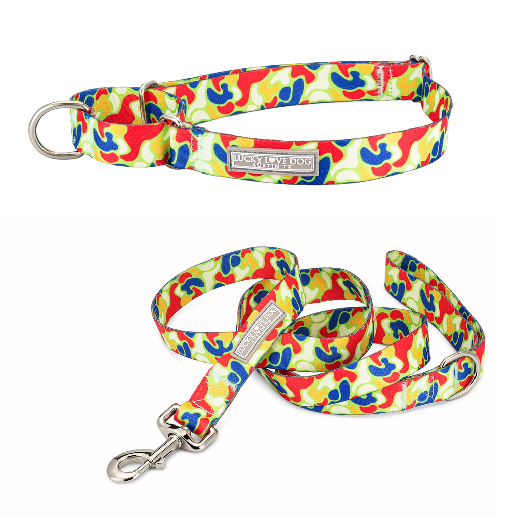 Martingale leash collar combo hotsell