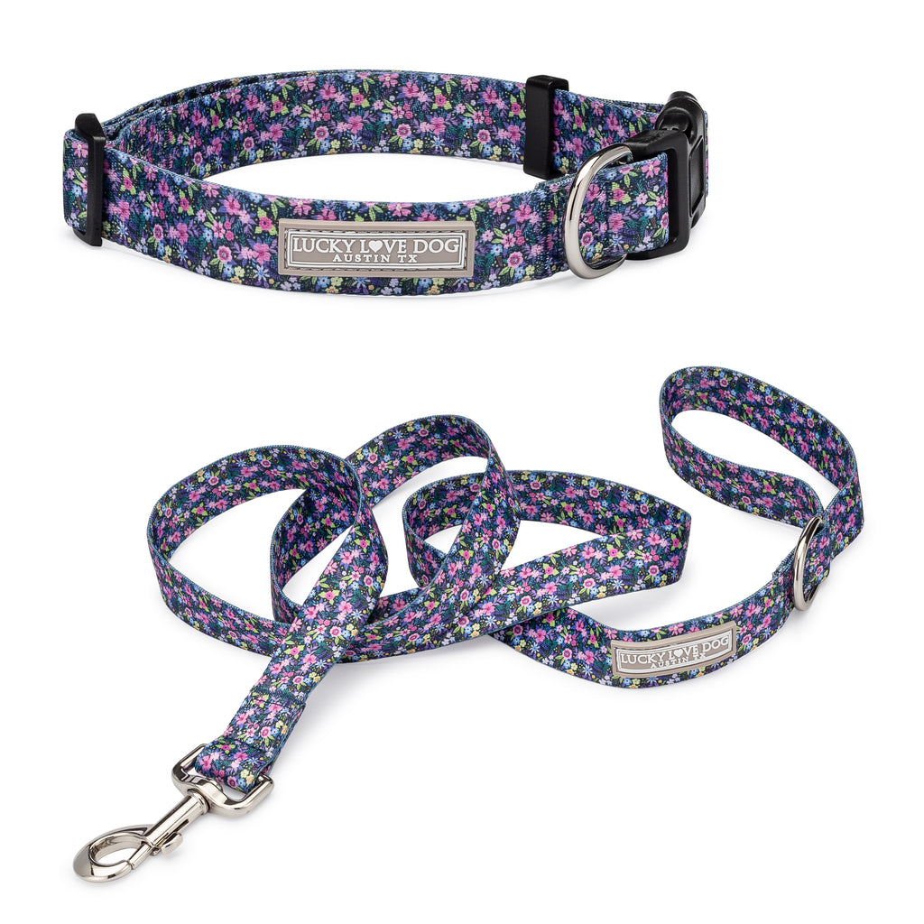 purple floral female dog collar and leash on white background