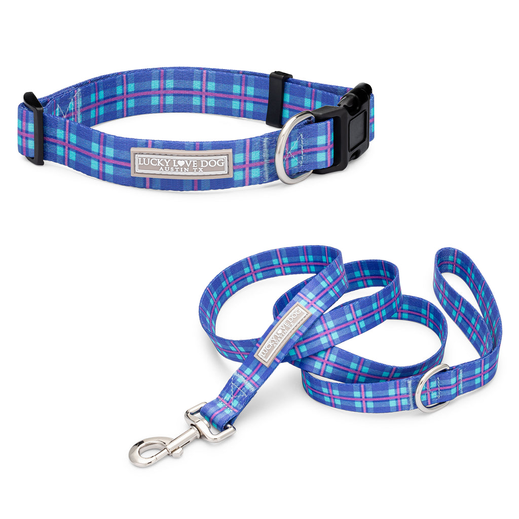 blue and purple plaid dog collar and leash display