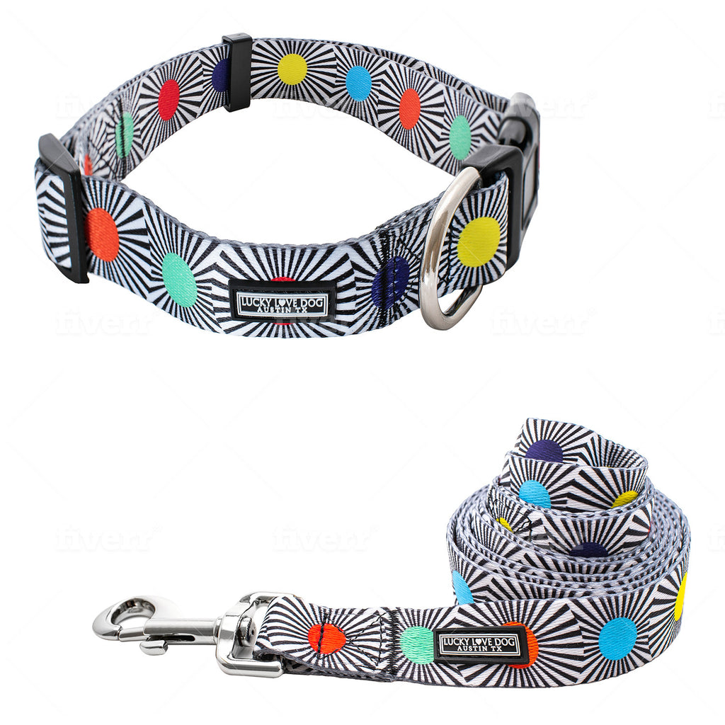 bright modern funky dog collar and leash