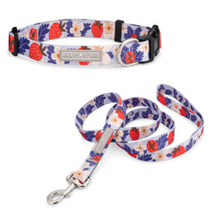 summer strawberry female dog collar and leash