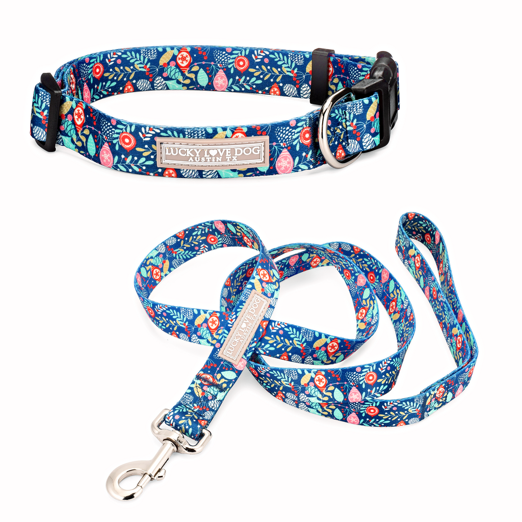 blue winter holiday dog leash and collar