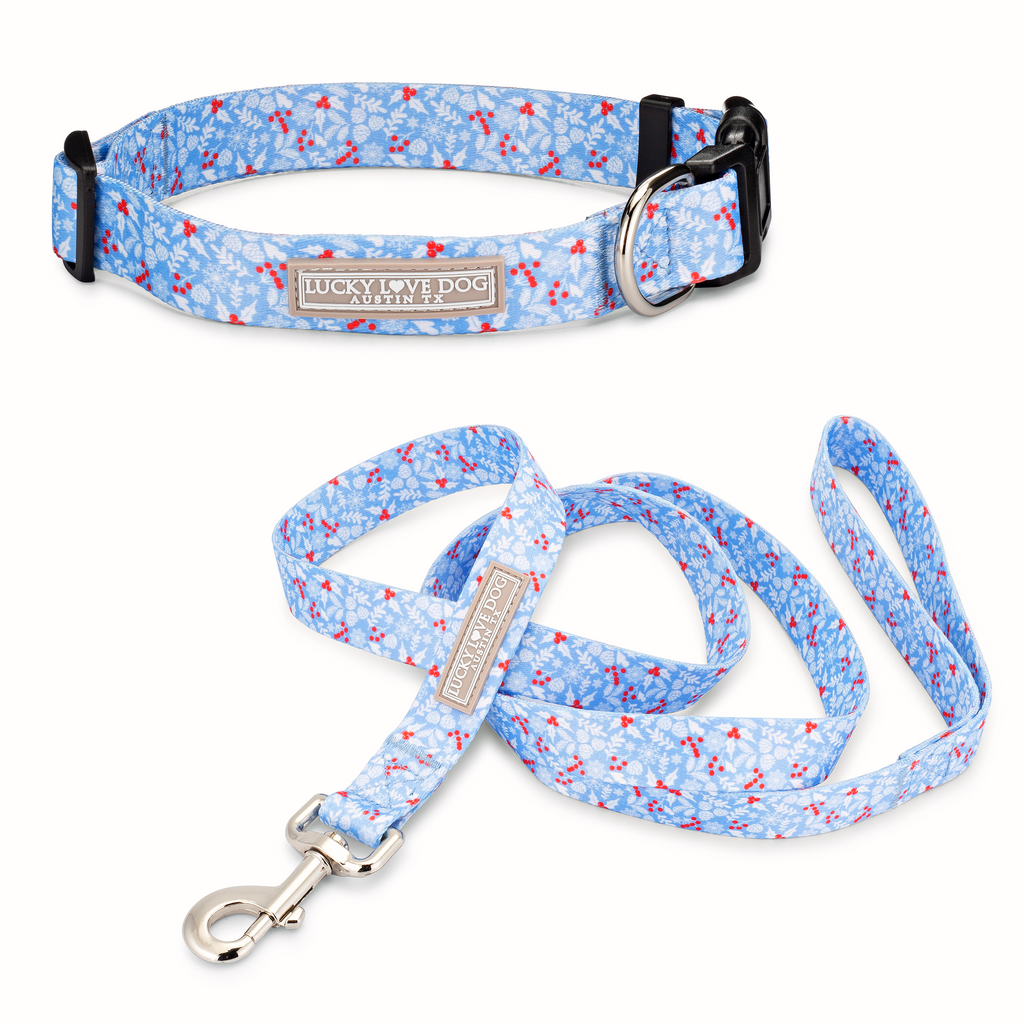 blue winter holiday berries dog collar and leash