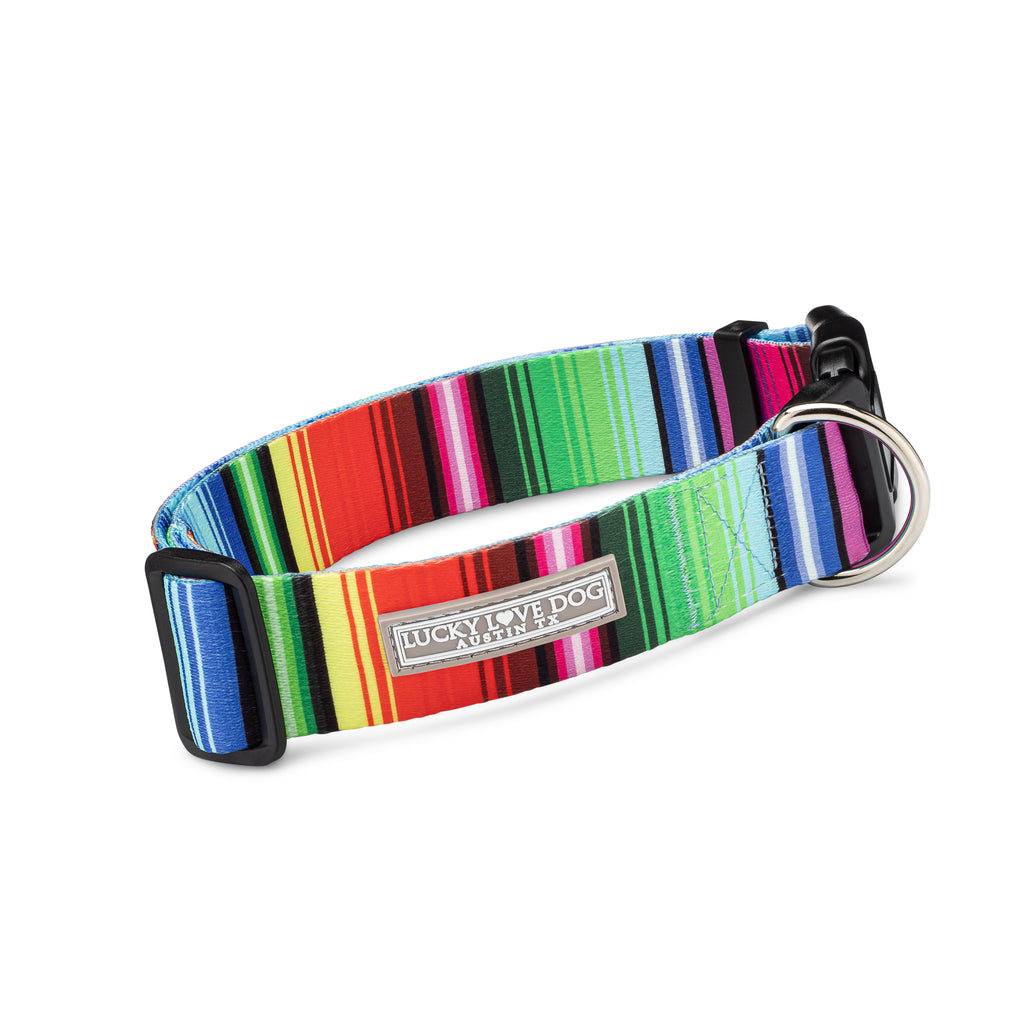 vivid fiesta striped wide dog collar front