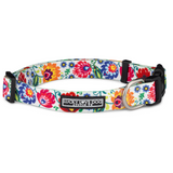 White dog collar with colorful floral pattern and metal D-ring.