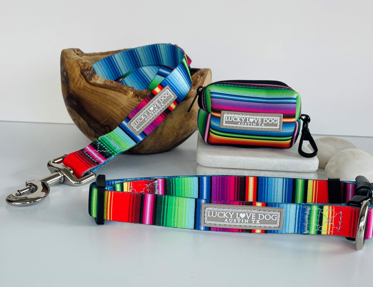 Nacho Dog Collar