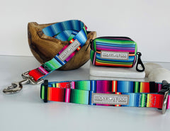 Nacho Dog Collar