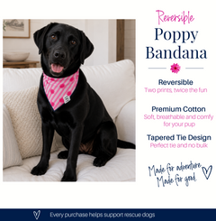 Black dog wearing a pink and white bandana with product details on a white background