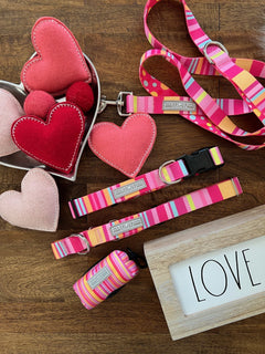 Molly Martingale