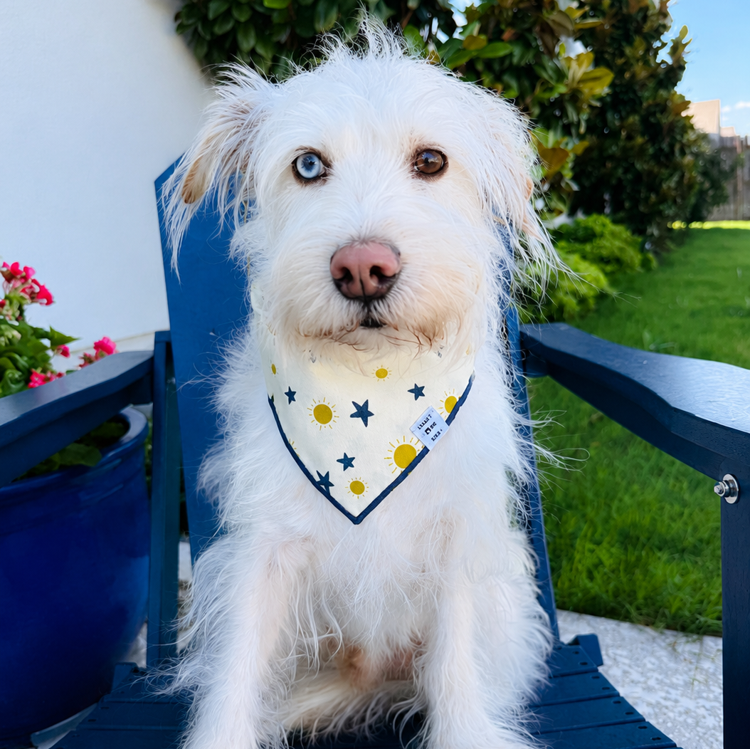 bandana and coordinating collar leash