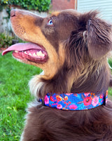 WIDE Zuzu Collar Wholesale