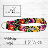 WIDE Blackbird Martingale Collar