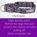 WIDE Primrose Collar