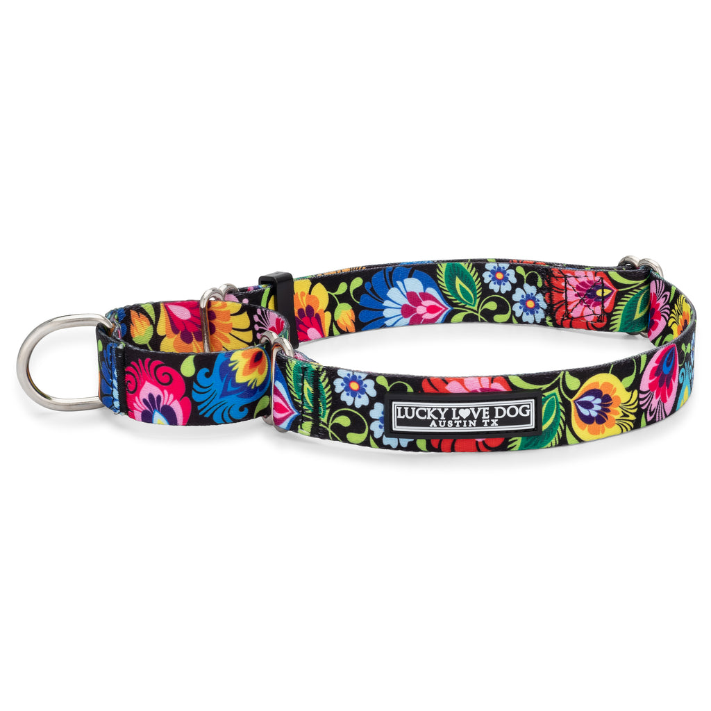 bright floral martingale dog collar 