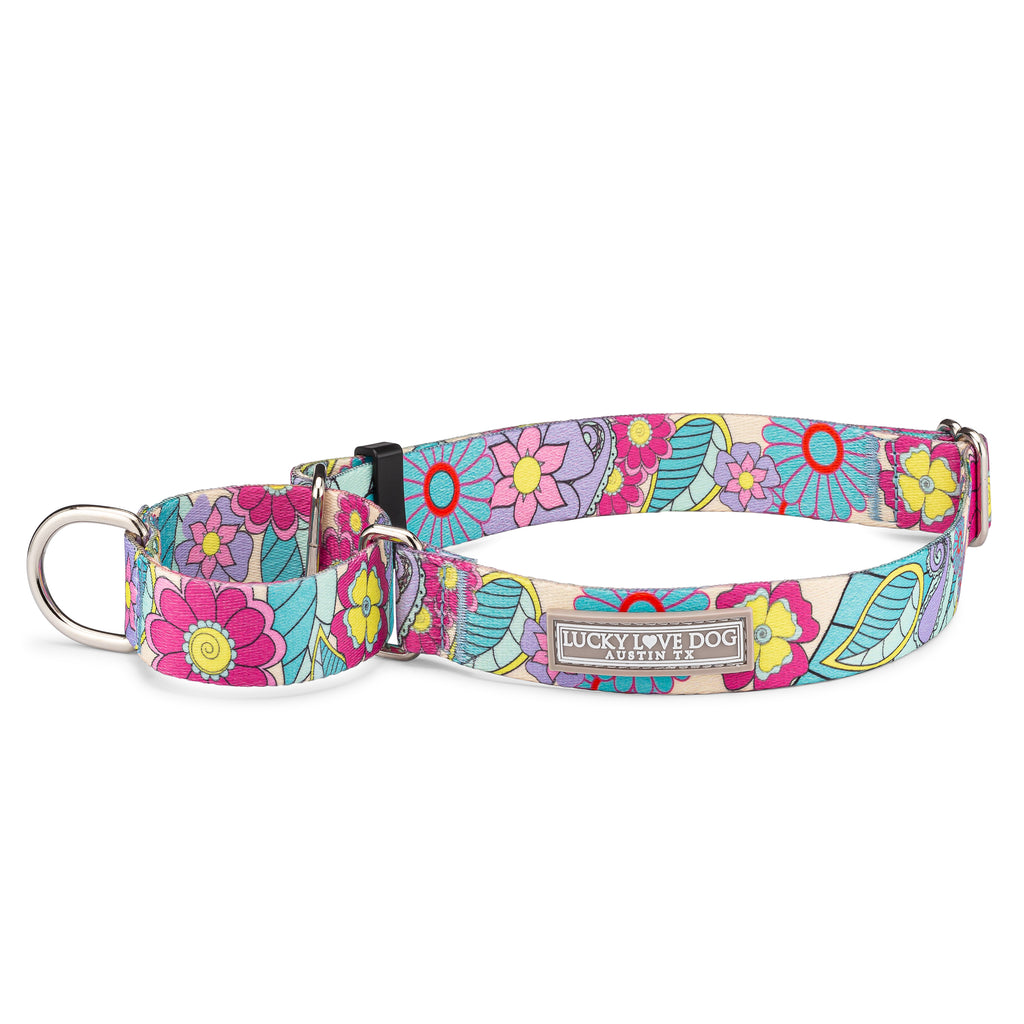 Funky retro bright floral martingale dog collar 