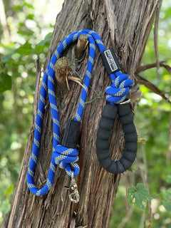 Dog Leash and Collar