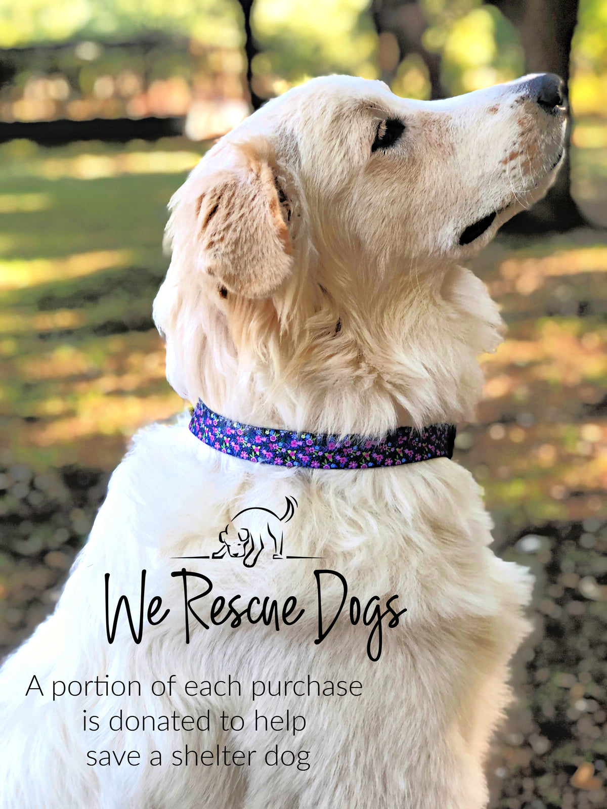 Purple floral dog collar on a fluffy golden retriever looking up, overlaying text that reads We Rescue Dogs and details shelter dog donations.
