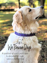Purple floral dog collar on a fluffy golden retriever looking up, overlaying text that reads We Rescue Dogs and details shelter dog donations.