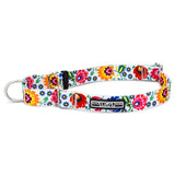 Ladybird Martingale