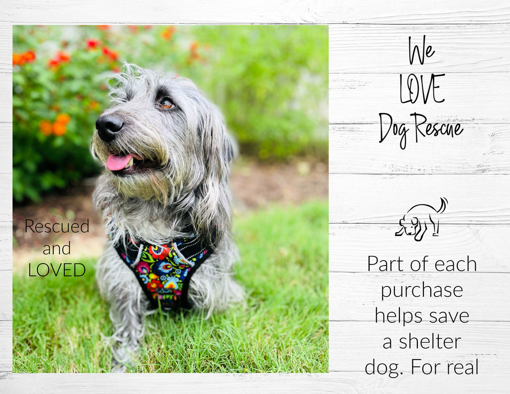 Rescue Dog wearing floral easy walker harness. Each purchase helps save a shelter dog.