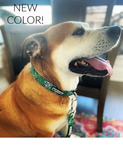 Laguna Blue Dog Collar