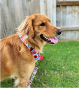 Ladybird Martingale